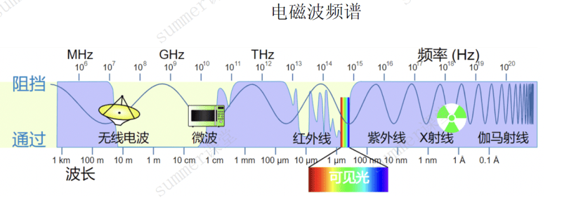 image-20250219203333816