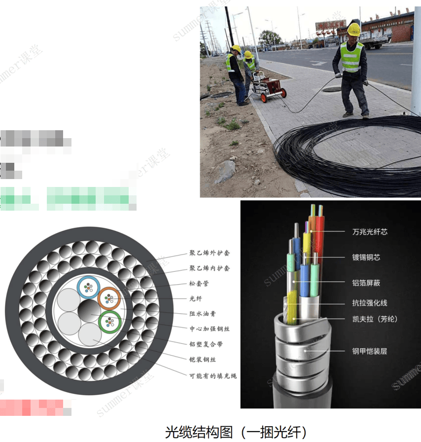 image-20250219211315567