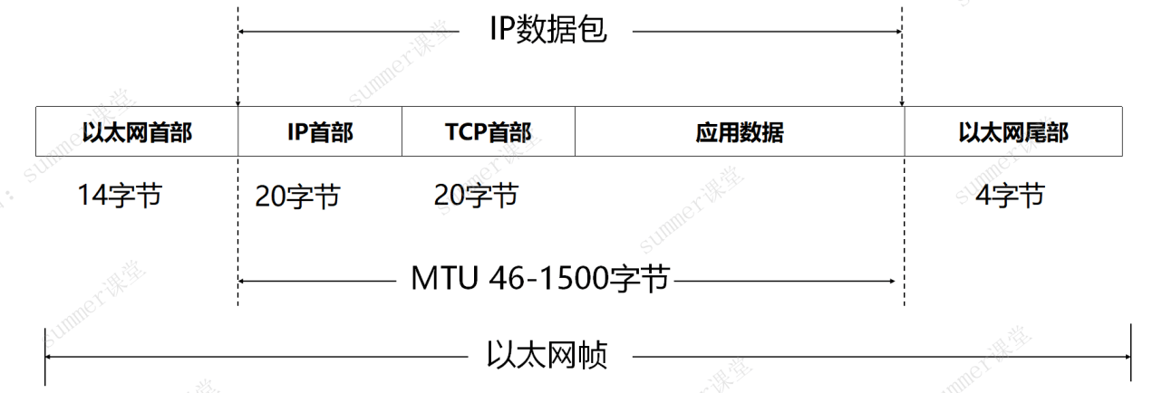 image-20250224205912619