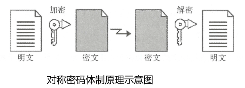image-20250308194500910