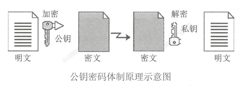 image-20250308194802878