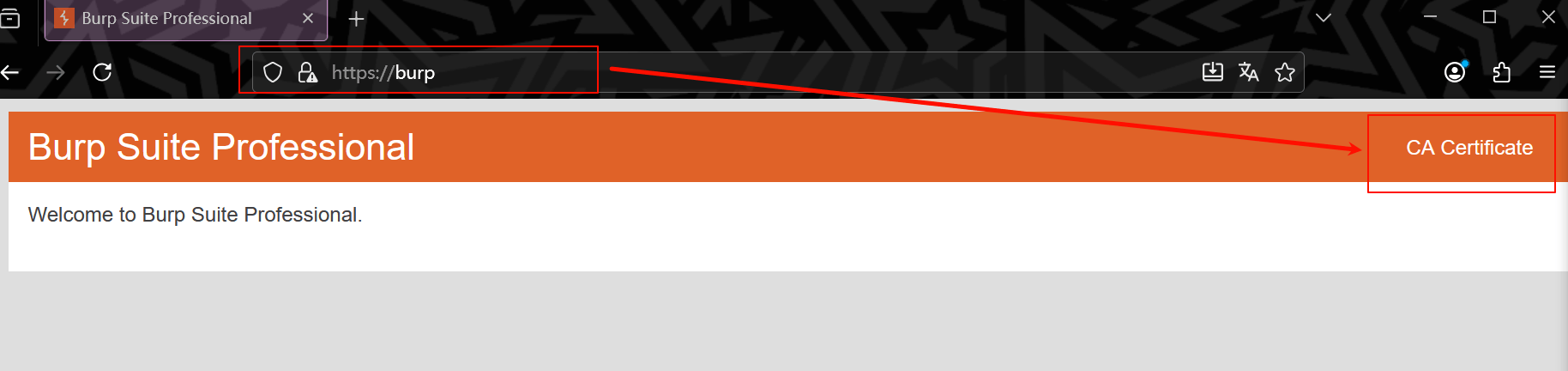 image-20250921220342994