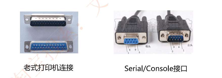 image-20230223202909351
