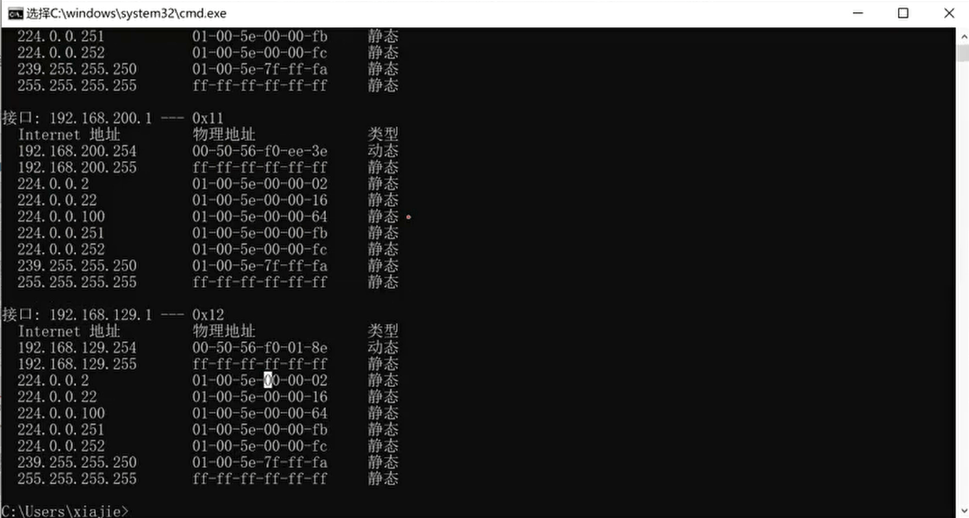 image-20230314204235102