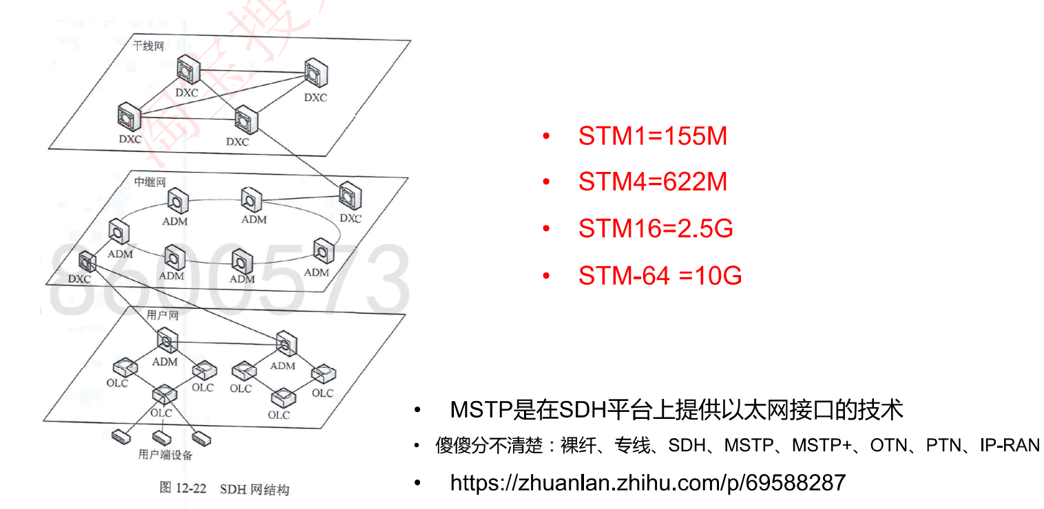 image-20230315204633552