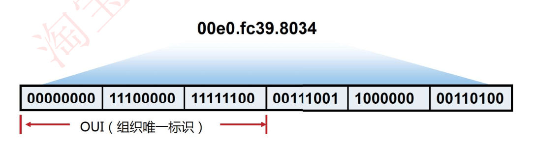 image-20231005163438676